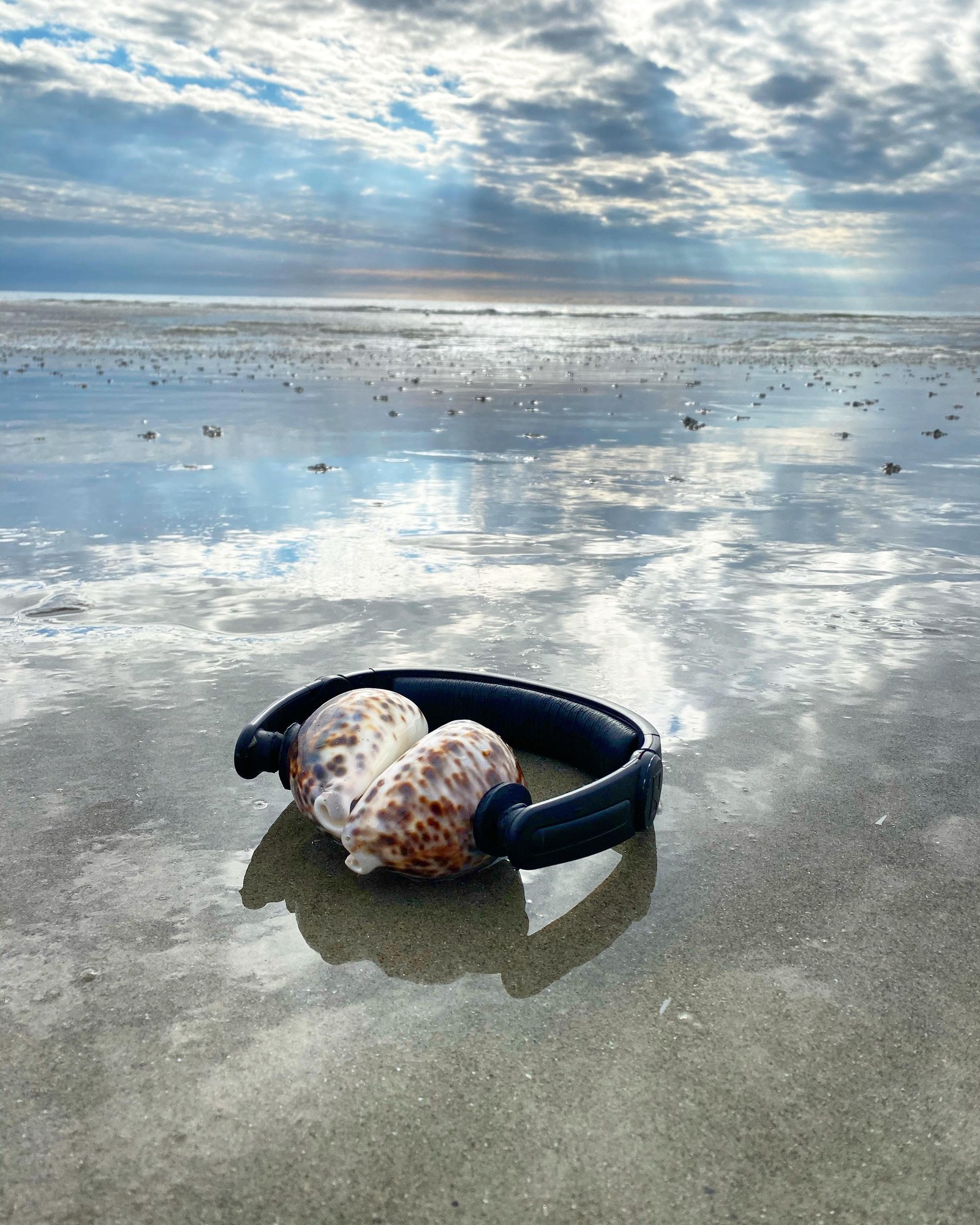 Face à la mer